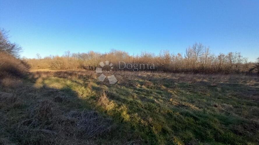 Poljoprivredno zemljište – Odlična Prilika!