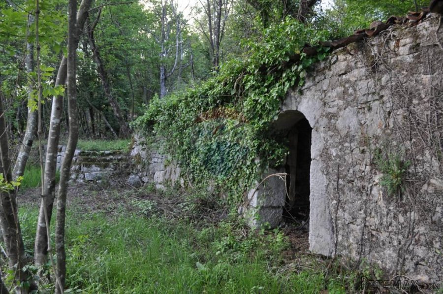 Teren na Jušićima