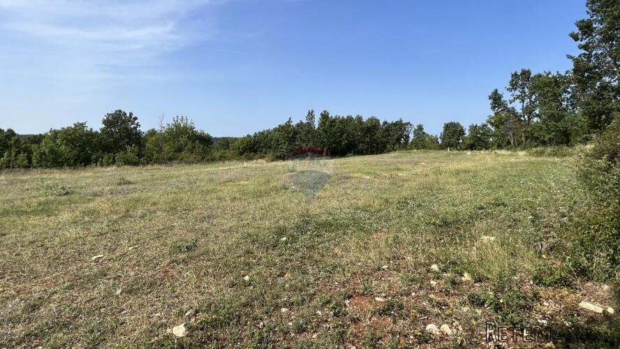 Istra, Višnjan - okolica, građevinsko zemljište na rubu manj - 3