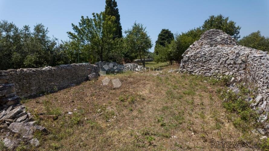 Građevinsko zemljište sa maslinikom pokraj Vodnjana - 3