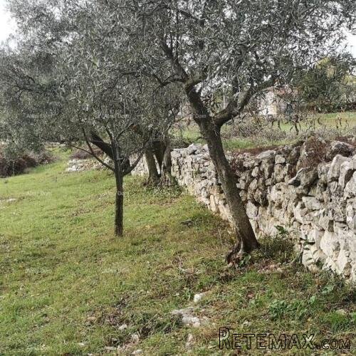 Prodaja građevinskog zemljišta sa pogledom na more, Fažana! - 4