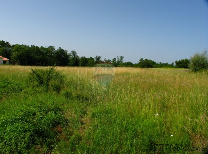 ISTRA, OKOLICA MUNTRILJA, GRAĐEVINSKO ZEMLJIŠTE 2760 M2