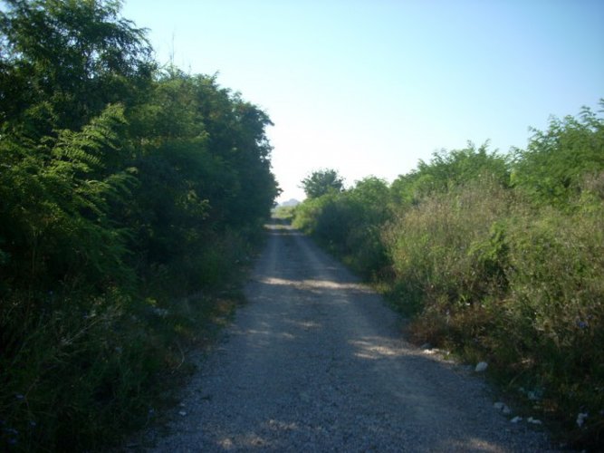 Prodajem Plac,Sajlovo