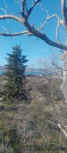 GRAĐEVINSKO ZEMLJIŠTE - SELINE - STARIGRAD - 3