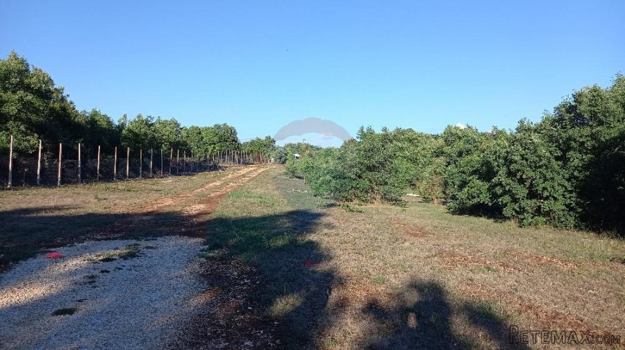 Istra, okolica Svetvinčenta, stambeno-gospodarski projekt - 2