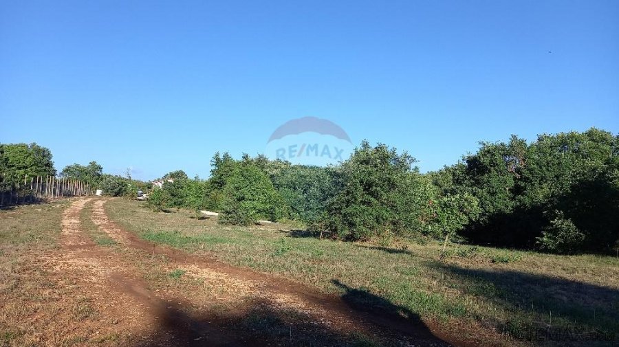 Istra, okolica Svetvinčenta, stambeno-gospodarski projekt - 4