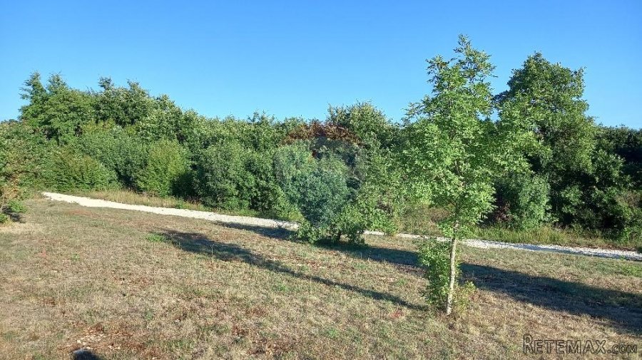 Istra, okolica Svetvinčenta, stambeno-gospodarski projekt - 5