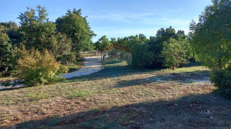 Istra, okolica Svetvinčenta, stambeno-gospodarski projekt - 6