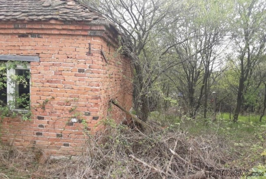 Staro porodicno imanje Melnica-Petrovac na Mlavi - 6