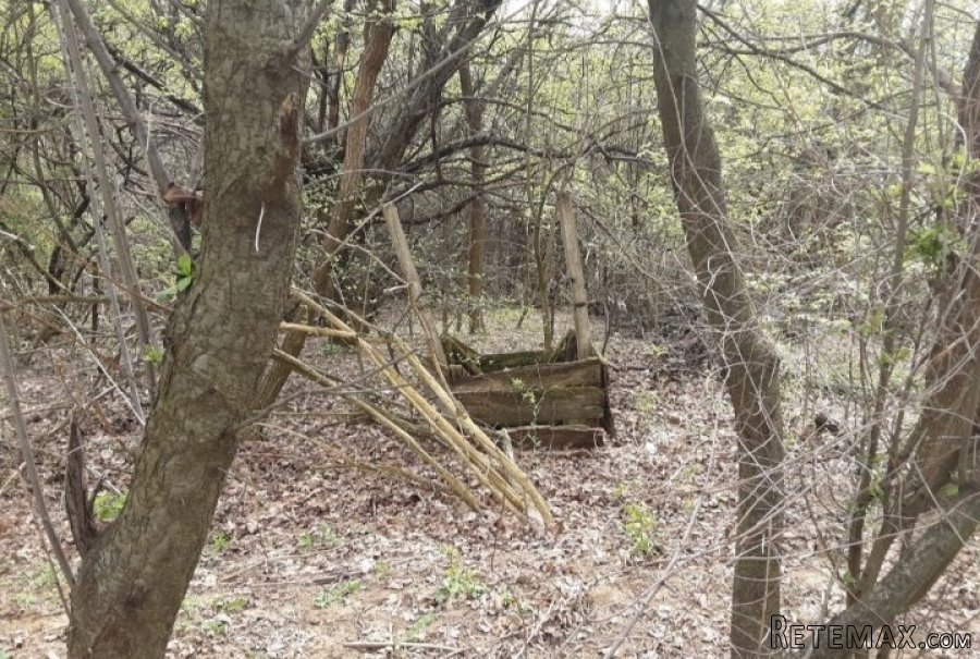 Staro porodicno imanje Melnica-Petrovac na Mlavi - 8