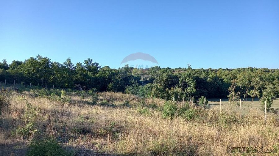 Istra, okolica Svetvinčenta, stambeno-gospodarski projekt - 9