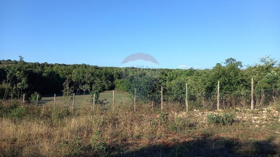 Istra, okolica Svetvinčenta, stambeno-gospodarski projekt - 10