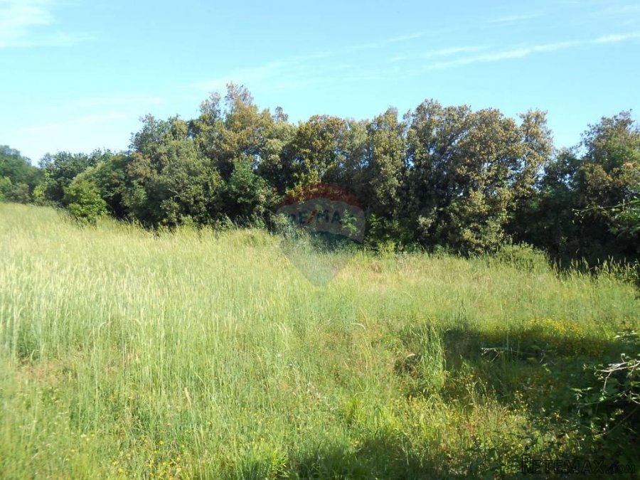 Istra, Štinjan, građevinsko zemljište 180m od mora - 2