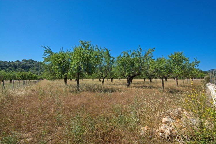 Rustic plot in an undamaged natural scenery. with great..