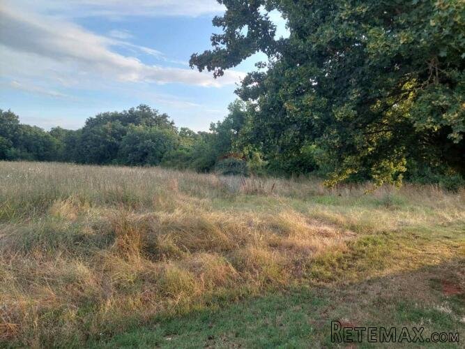 Istra,Prodol, građevinsko zemljište 1000 m2 - 2