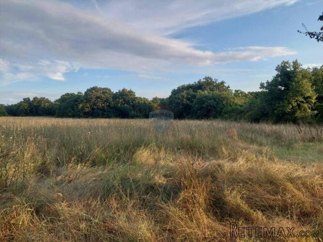 Istra,Prodol, građevinsko zemljište 1000 m2 - 3