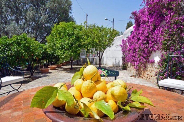 Large country house on the outskirts of Lloseta at the foot.. - 4