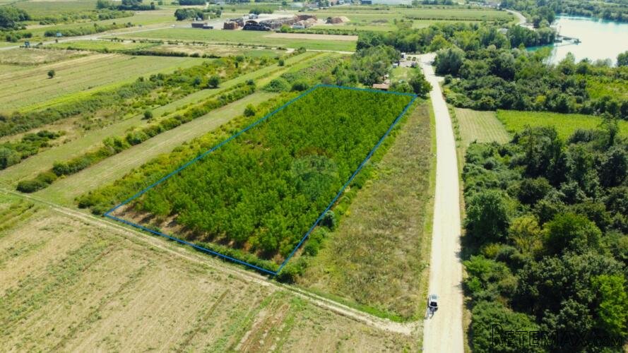 Velika Gorica, Vukovina, poljoprivredno zemljište s plantažn - 2