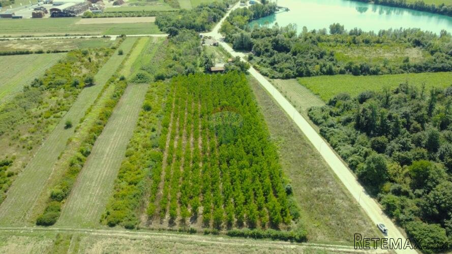 Velika Gorica, Vukovina, poljoprivredno zemljište s plantažn - 3