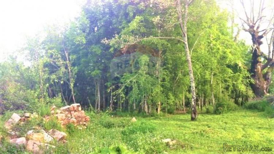 Istra,Kaštelir-Autohtono imanje s 40000 m2 zemljišta - 4