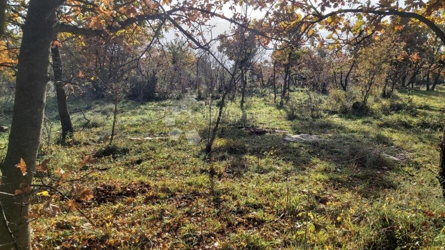 KOMBINIRANO ZEMLJIŠTE SA OTVORENIM POGLEDOM - 8