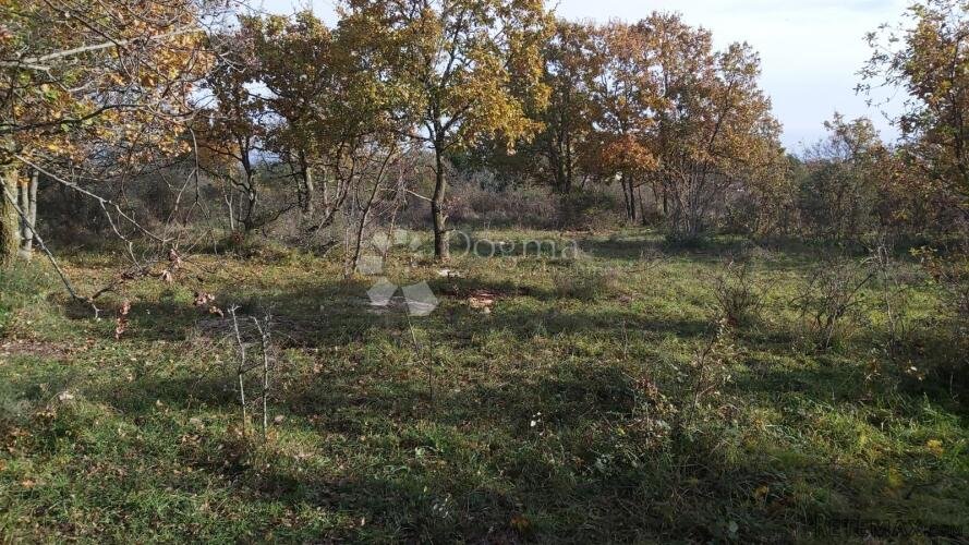 KOMBINIRANO ZEMLJIŠTE SA OTVORENIM POGLEDOM - 9