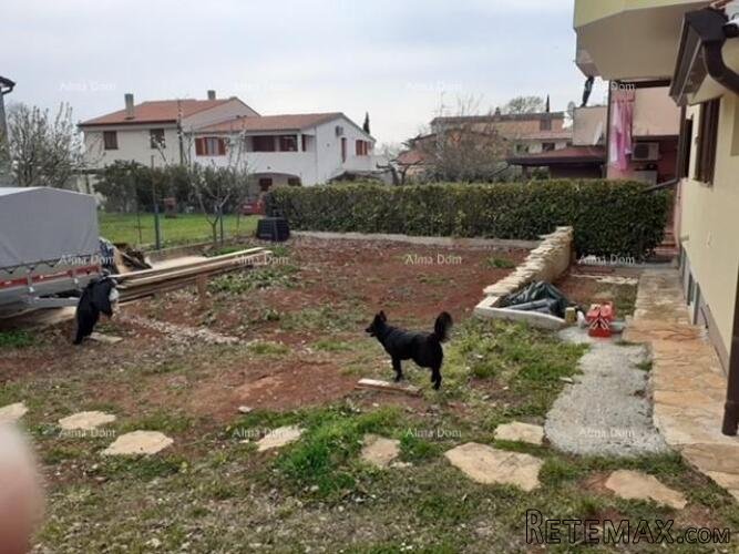 NOVIGRAD - Prodaja dva stana u obiteljskoj kući - 2