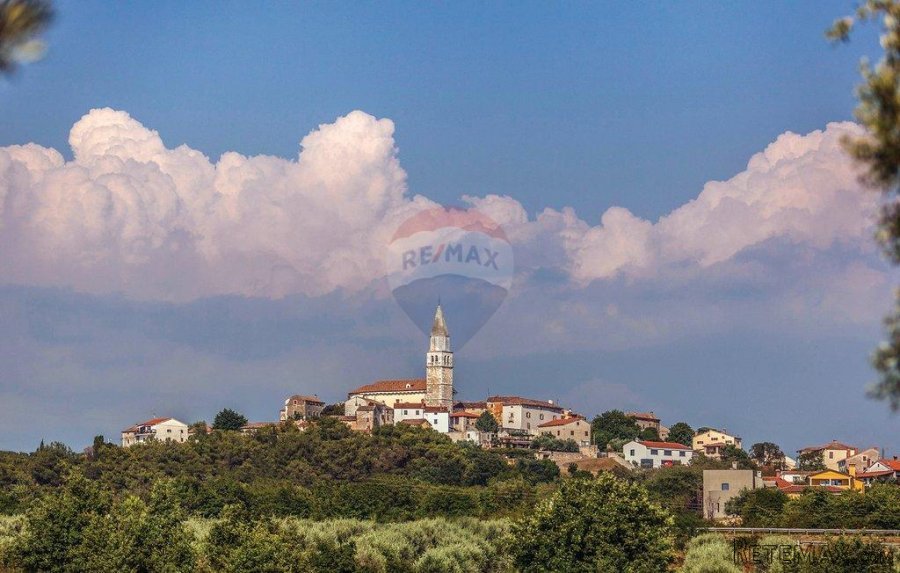 Vižinada, renovirana autohtona kamena kuća - 2