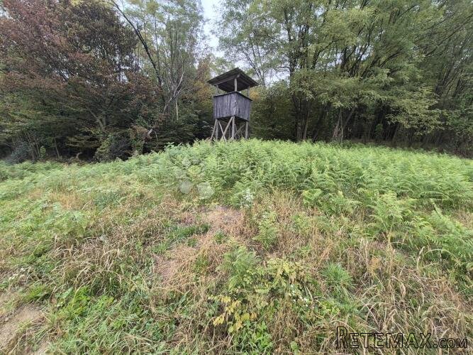 Zemljište 1.169m² na mirnoj lokaciji sa pristupnim putem nad
