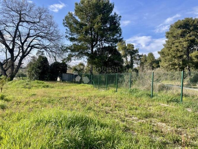 Poljoprivredno zemljište sa bušotinom i strujnim priključkom - 2