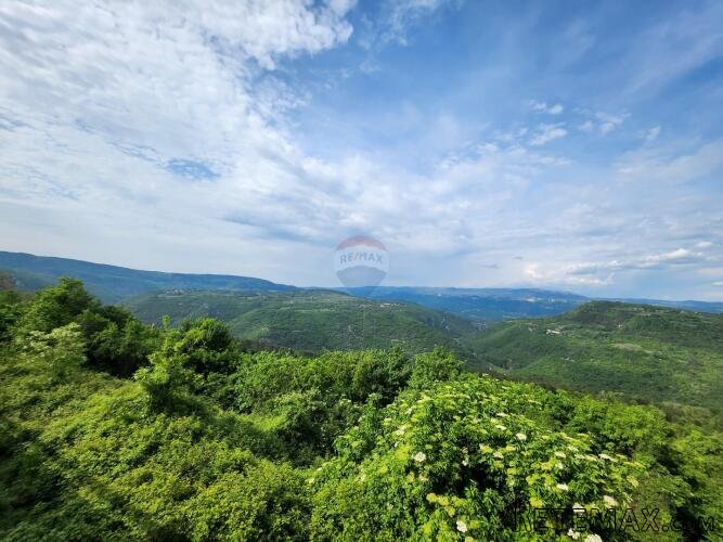 Istra, Sovinak, Sirotići - ne građevinsko zemljište 2,00 ha - 3