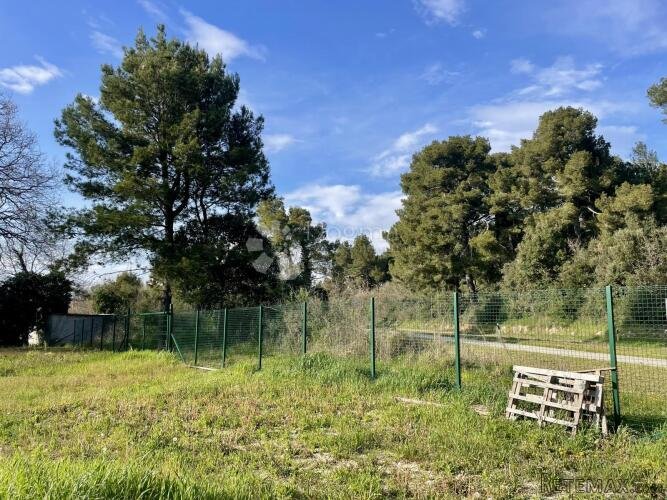 Poljoprivredno zemljište sa bušotinom i strujnim priključkom - 3