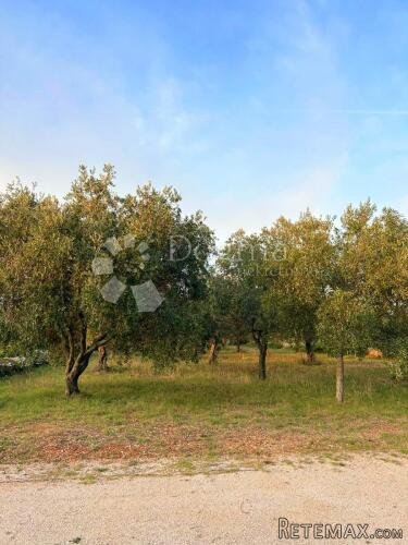 Zemljište 2002 m2 uz sami rub građevinskog područja