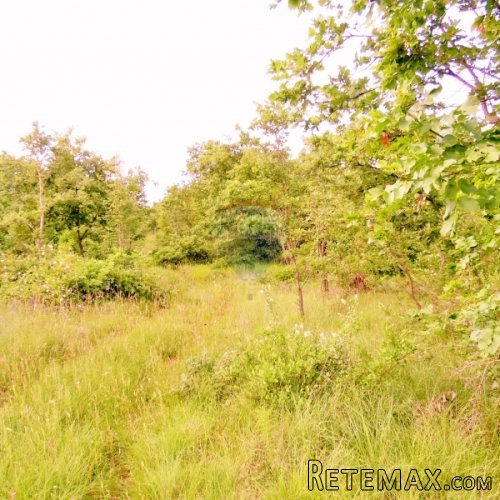 Istra, poljoprivredno zemljište sa idejnim projektom 22289m2 - 3