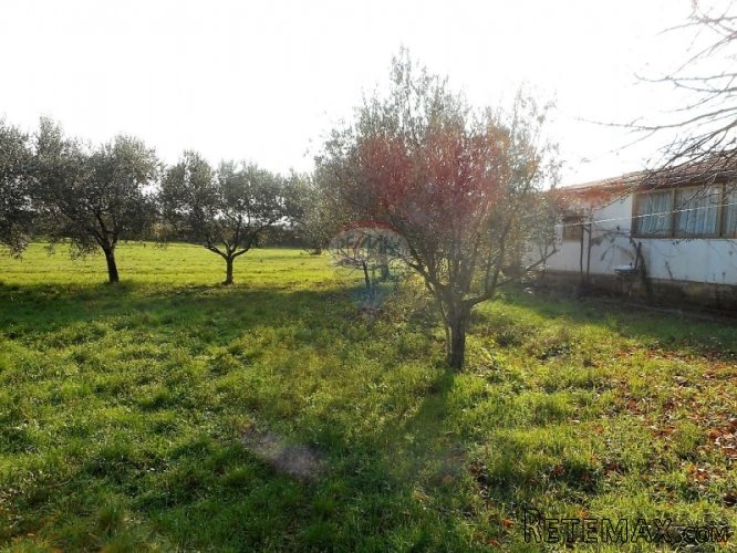 POREČ:Samostojeća kuća 3km Od Grada Poreča