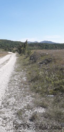 Prodaje se imanje na putu Niksic-Pluzine - 5