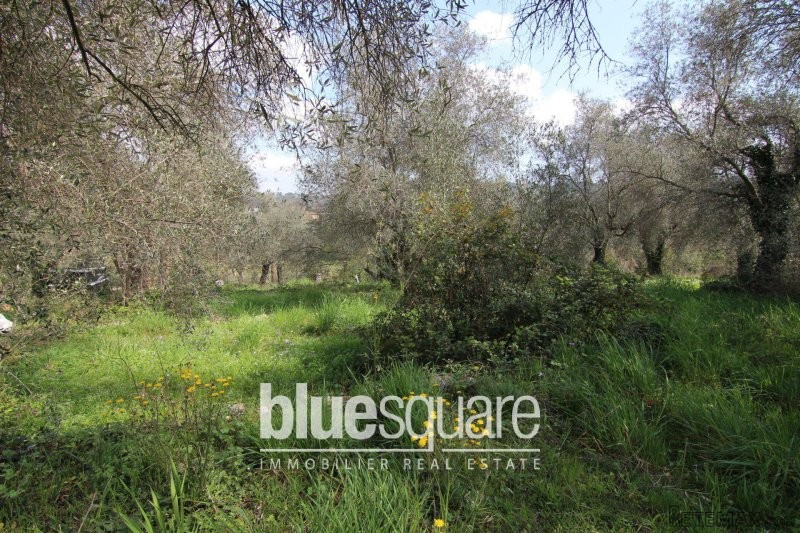 Serviced plot with granted planning..