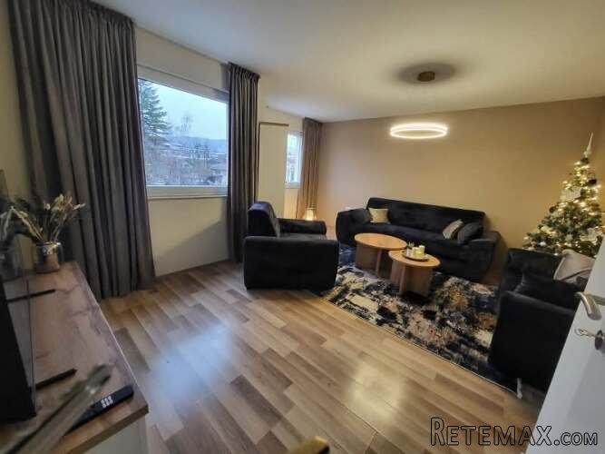 LUXUZNO OPREMLJEN TROSOBNI APARTMAN CAZIN NAJAM STAN NA DAN - 11