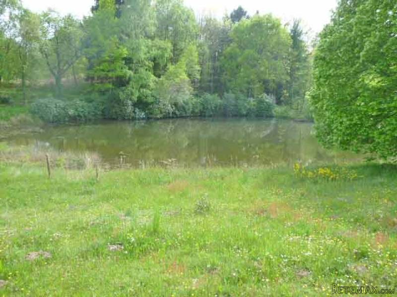 Farmhouse To Restore Set On 21acres Of.. - 2