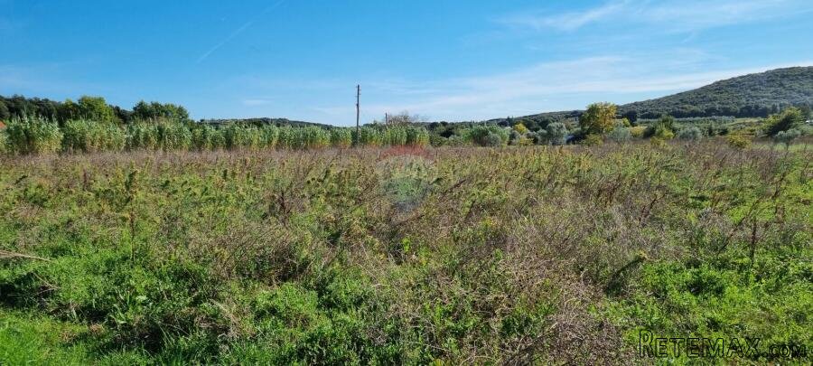 Istra, Rovinj poljoprivredno 5000m2 - 2