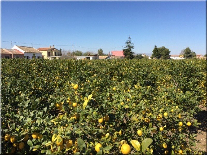 Las Heredades 2 Beds 1 Baths apartment - 2