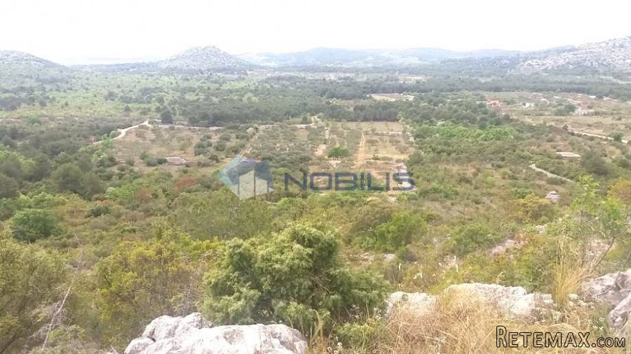 Šibenik, Vodice, građ. zemljište 15988 m2, maslinik, vl.. - 13