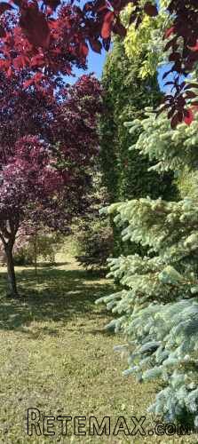 Kuca Đurđevac sa okucnicom 20.000m2 i pomocnim objektima - 17