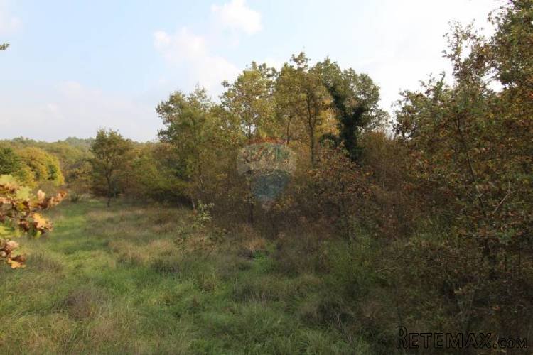 Građevinsko zemljište u okolici Baderne - 2