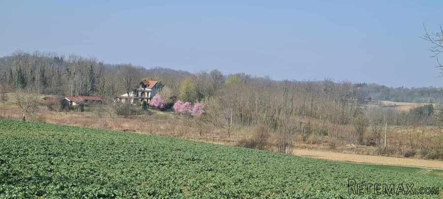Kuca Đurđevac sa okucnicom 20.000m2 i pomocnim objektima - 19