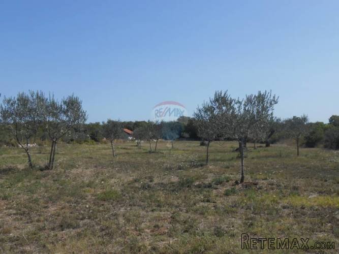 Istra, okolica Fažane, poljoporivredno zemljište sa... - 5