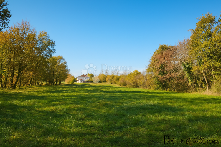 Građevinsko i poljoprivredno zemljište 4.793 m² – Kringa, Ti - 2
