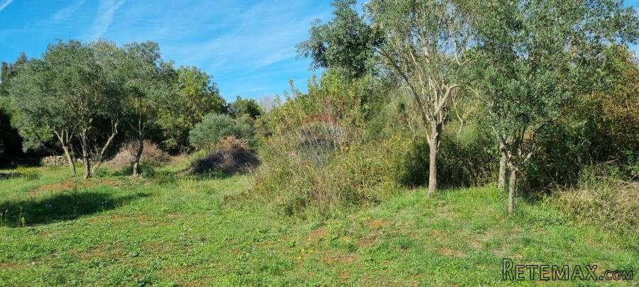 Istra, Rovinj poljoprivredno zemljište 1574m2 - 2