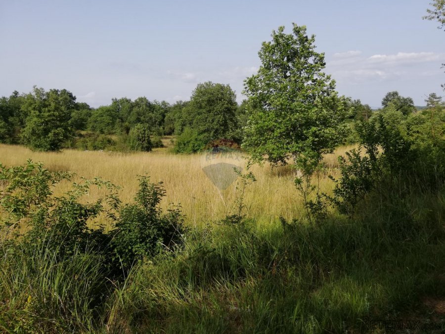 Istra, Tinjan, poljoprivredno zemljište 3274 m2 - 2