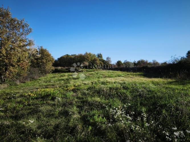 Građevinsko i poljoprivredno zemljište 4.793 m² – Kringa, Ti - 3